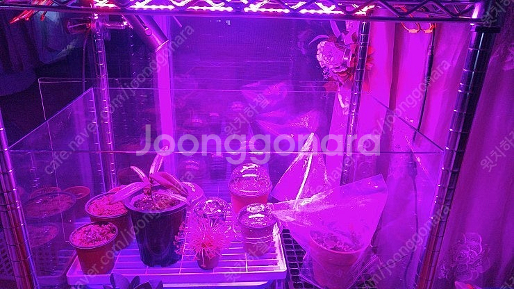 식물 성장 LED 바, 아답터 판매합니다.--3